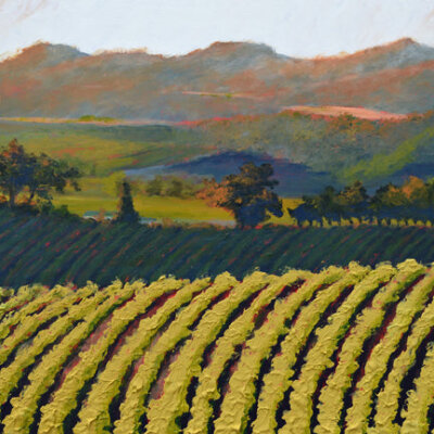"Wine Country #40"