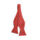 Downloaded from Shopify for use with Vendor ID (30) and Product ID (108757034).