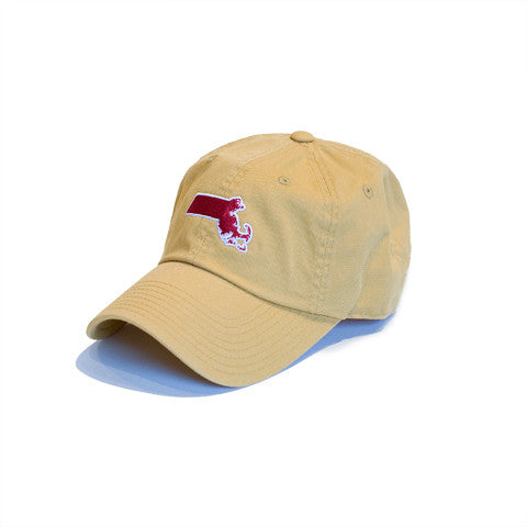 Massachusetts Chestnut Hill Gameday Hat Gold
