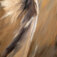 Downloaded from Shopify for use with Vendor ID (34) and Product ID (1607320305734).