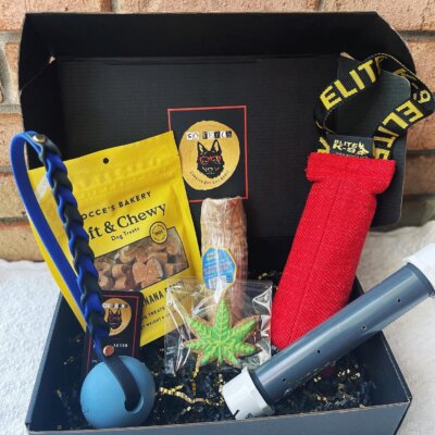 K9 Valor Narcotics Box K9 Valor Narcotics Box