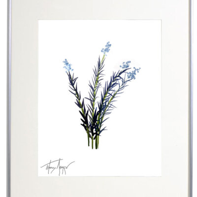 Wild Flower on Paper #4584