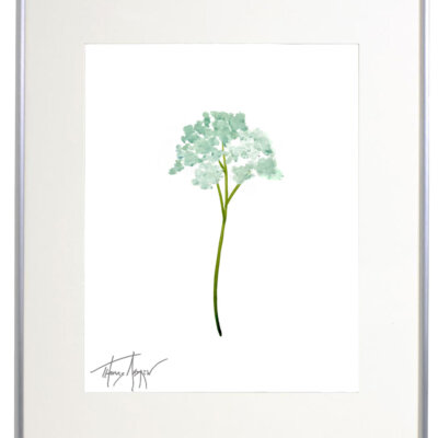 Wild Flower on Paper #4596