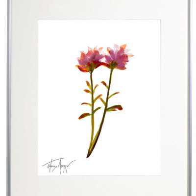 Wild Flower on Paper #4601