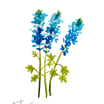 Downloaded from Shopify for use with Vendor ID (34) and Product ID (6963785367618). Downloaded from Shopify for use with Vendor ID (34) and Product ID (6963785367618).