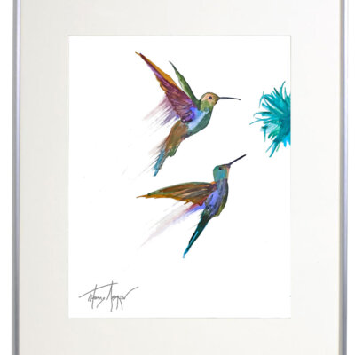 Hummingbirds 01a