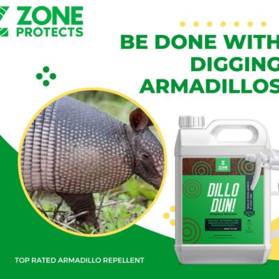 Be done with digging armadillos Be done with digging armadillos