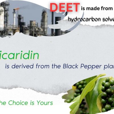 DEET vs Picaridin 1 DEET vs Picaridin 1