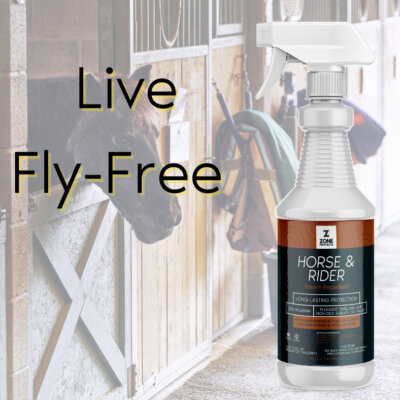 Fly-Free Zone Fly-Free Zone