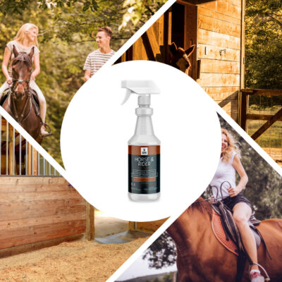 Have Your Best Ride (7) Have Your Best Ride (7)