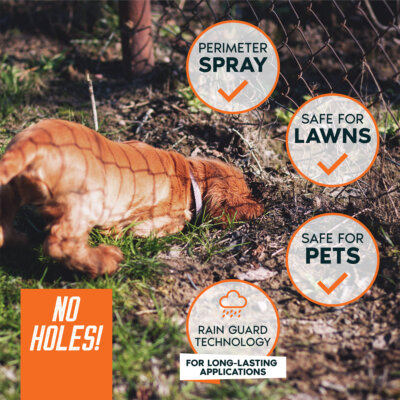NO HOLES - dog under fence+points - SQ NO HOLES - dog under fence+points - SQ