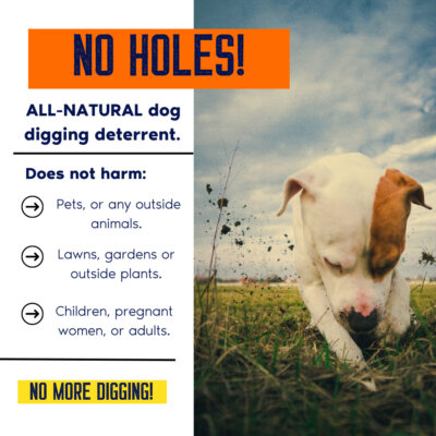 No Holes Info Image No Holes Info Image