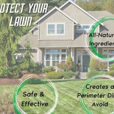 Protect Your Lawn Protect Your Lawn