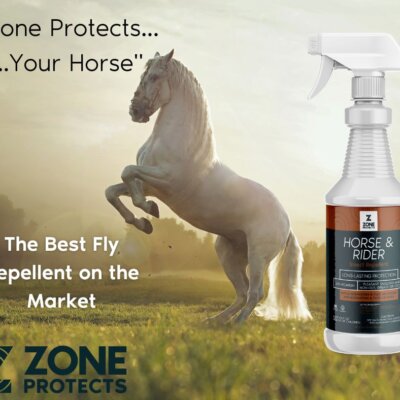 The BEST Fly Repellent...Hooves Down! The BEST Fly Repellent...Hooves Down!
