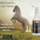The BEST Fly Repellent...Hooves Down!