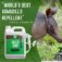World's best armadillo repellent