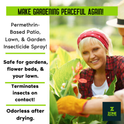 Add a heading Add a heading