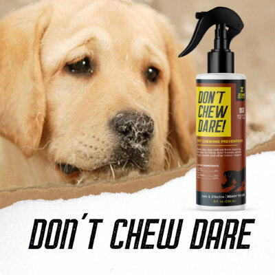 Don't Chew Dare (1920 × 1920 px) Don't Chew Dare (1920 × 1920 px)
