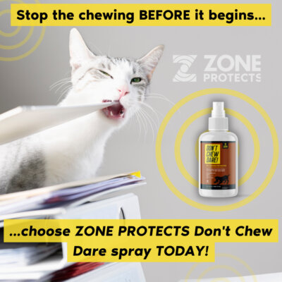 Don't Chew Dare Image - Cat Don't Chew Dare Image - Cat