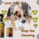 Love Your Pet