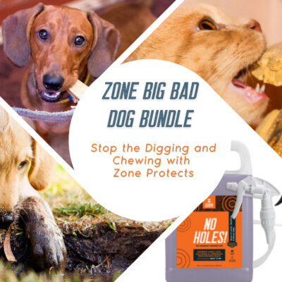 Zone Big Bad Dog Bundle Zone Big Bad Dog Bundle