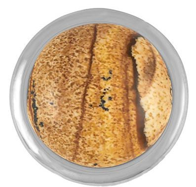 Ginger Snaps Picture Jasper Gemstone Snap