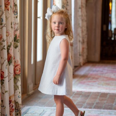 Mary Kate Blue Stripe A-lined Sleeveless Dress