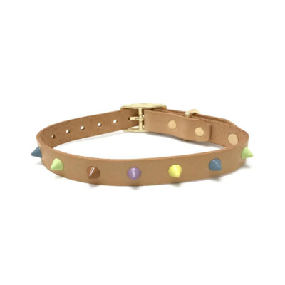 Sorbet Dog Collar
