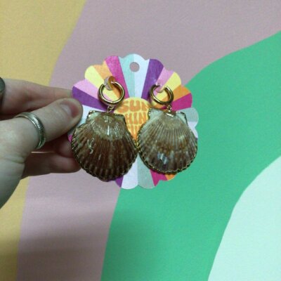 Titanium Shell Earrings