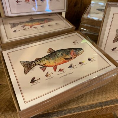 Note Cards by Vaughan Spanjer