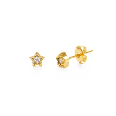 Shining Star Stud Earrings