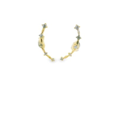 Cleo Ear Climber Earrings